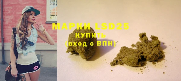 тгк Пересвет