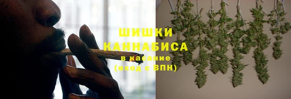 крисы Абаза