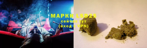 шишки Пестово