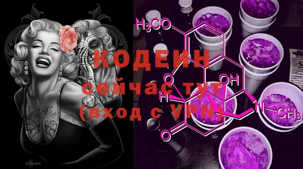 крисы Абаза