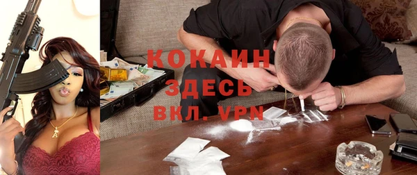 шишки Пестово