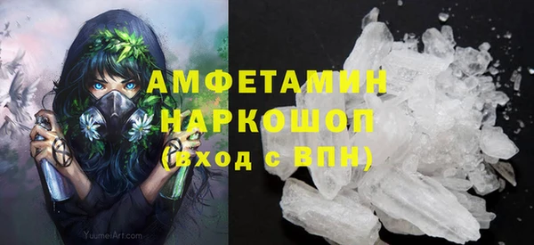 шишки Пестово