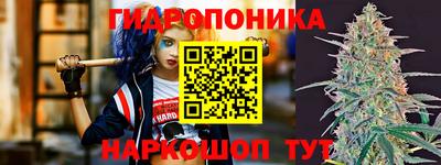дживик Кимры