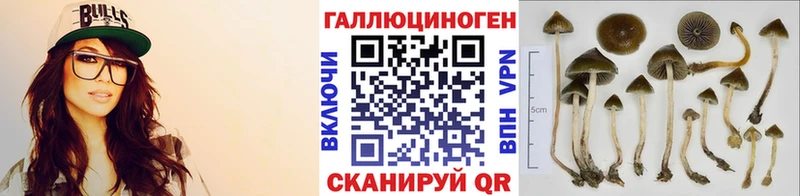 купить наркоту  Майский  kraken как зайти  Псилоцибиновые грибы Magic Shrooms 